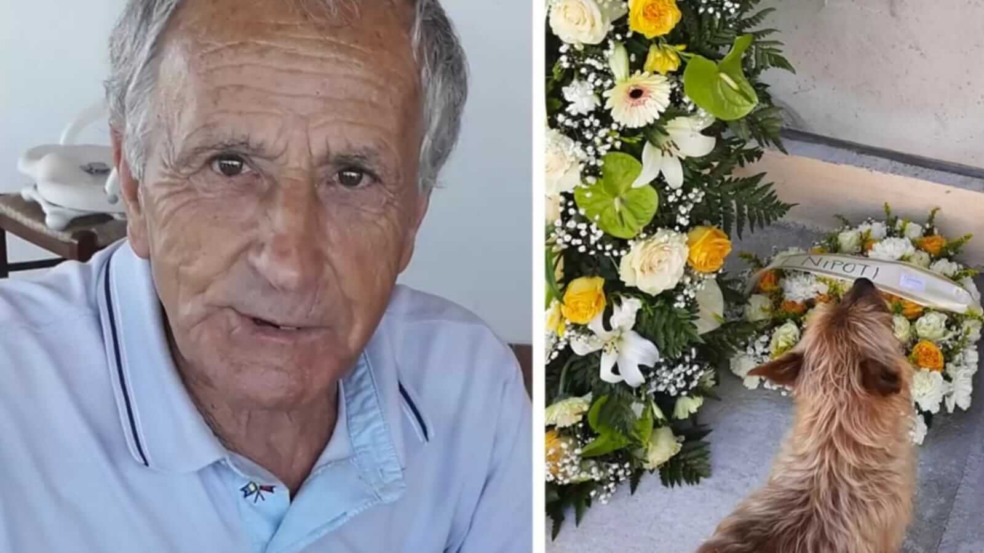 Cachorro em frente a túmulo Cachorro em frente a túmulo