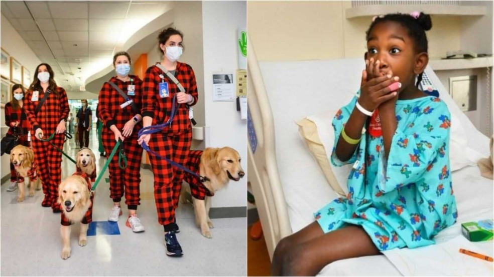 Pessoas levando cachorros em corredor de hospital infantil