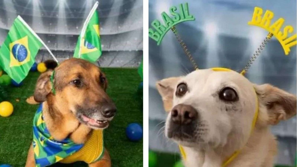 (Foto: Foto: Divulgação)