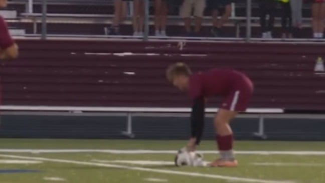 Cachorros invadem partida de futebol e um deles exige carinho antes de sair