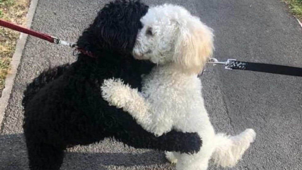 (Foto: Reprodução/catiororeflexivo) (Foto: Reprodução/catiororeflexivo)