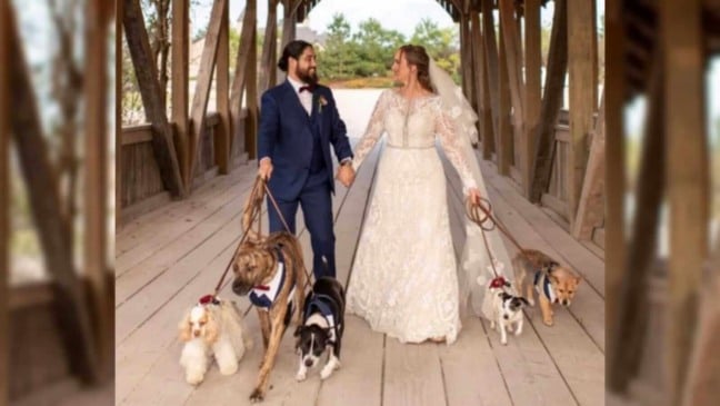 Noivos com cachorros