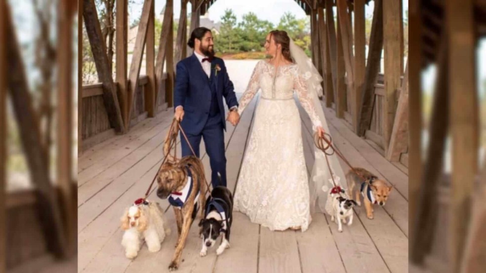 Noivos com cachorros Noivos com cachorros