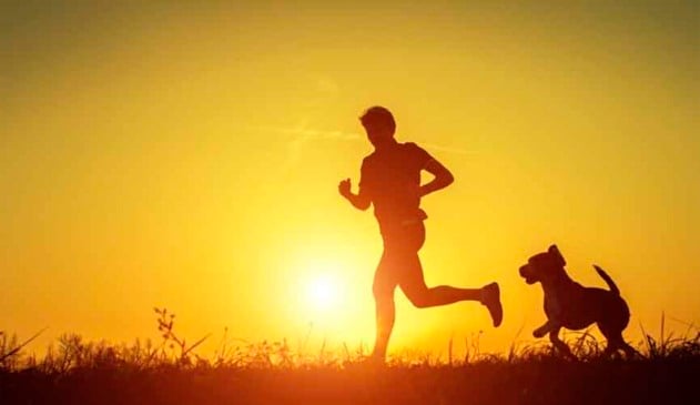 Cachorros são bons companheiros para praticar corrida