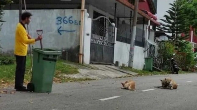 Foto: Reprodução/Jagdeep