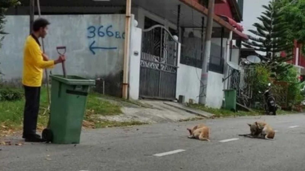 Foto: Reprodução/Jagdeep