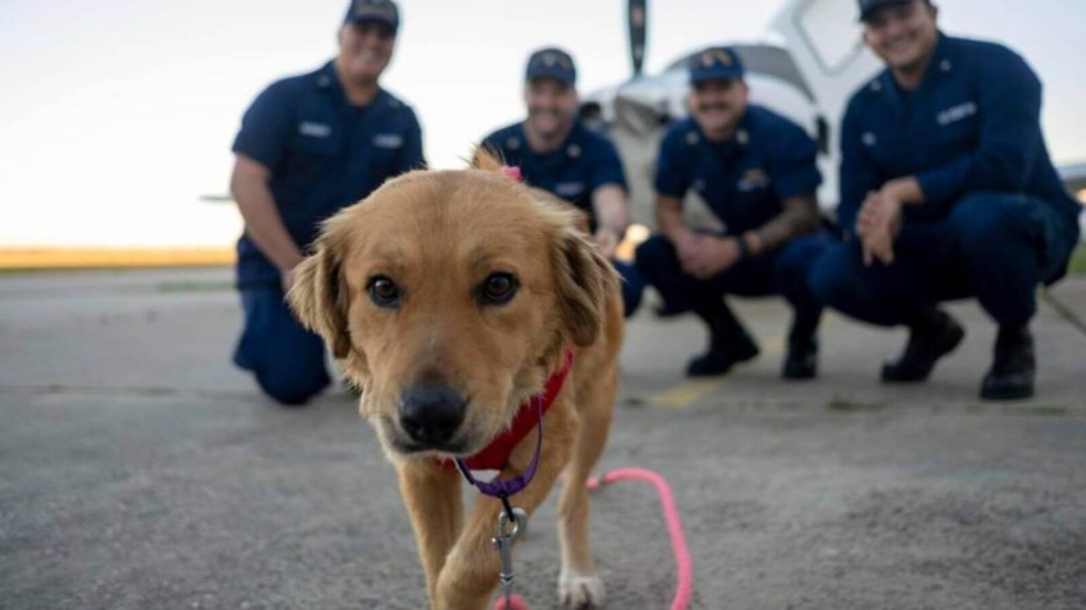 Foto: Reprodução/PA3 Shirzad