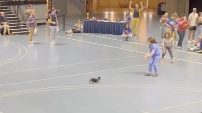 (Foto: Divulgação/Alex Cohen)