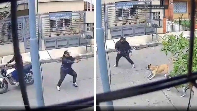 (Foto: Reprodução/câmeras de segurança)