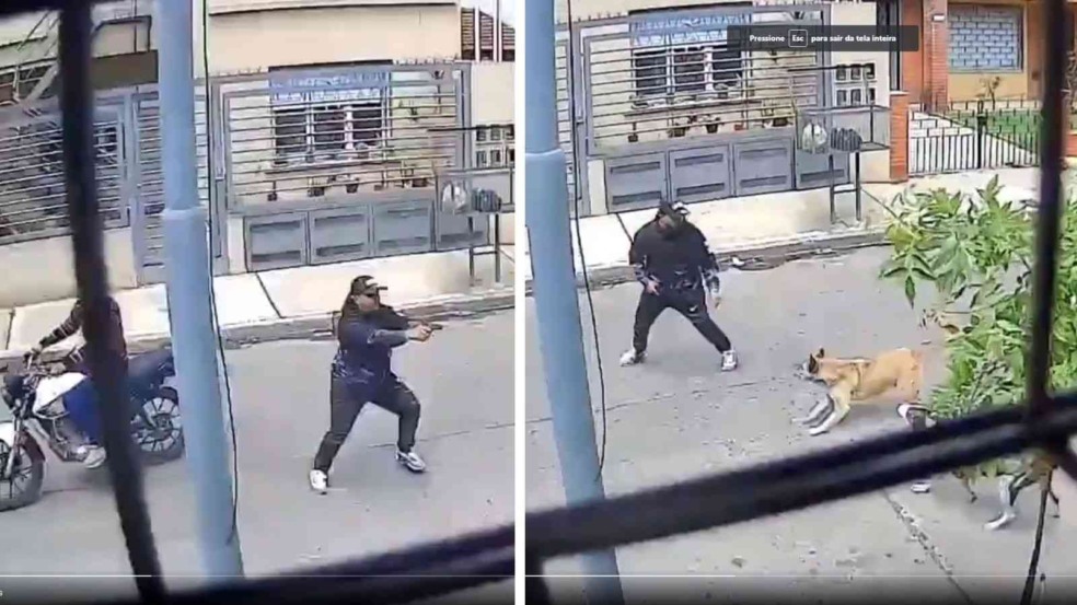 (Foto: Reprodução/câmeras de segurança) (Foto: Reprodução/câmeras de segurança)