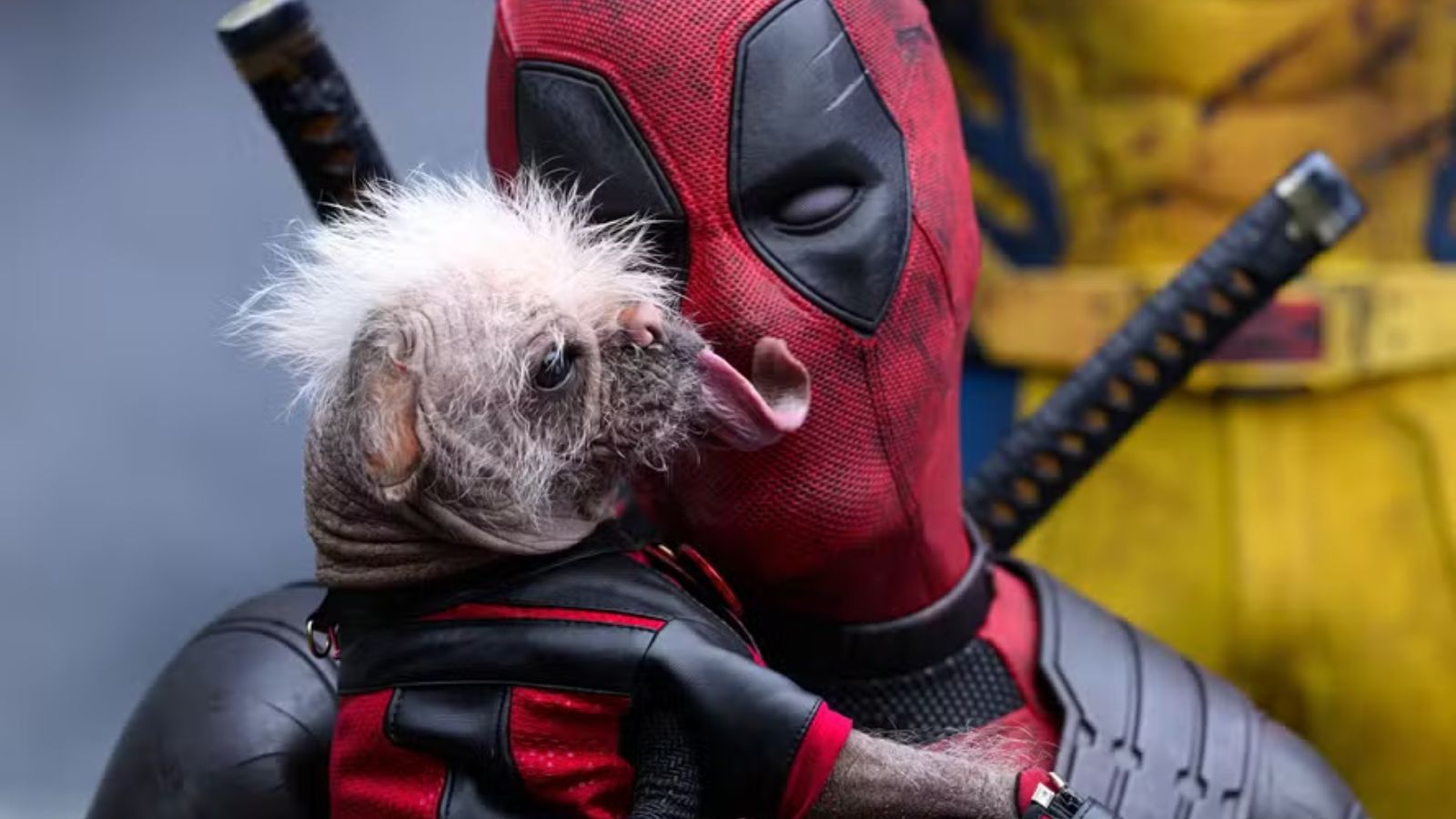Cachorro de Deadpool