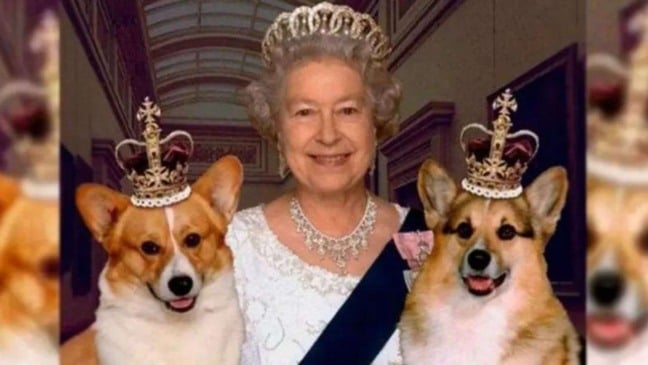 (Foto: Reprodução/Anda)