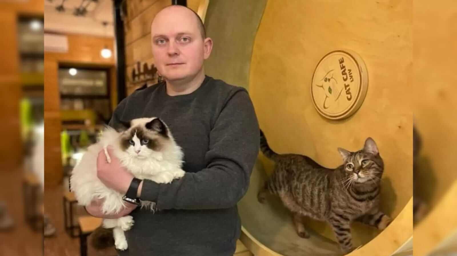 Homem com gatos em cafeteria