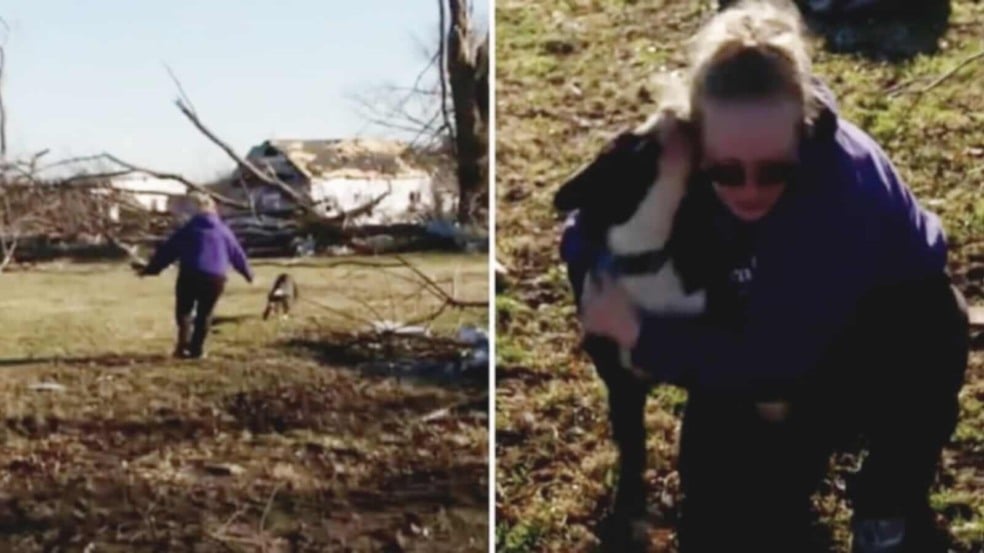 Mulher reencontra cachorro após tornado