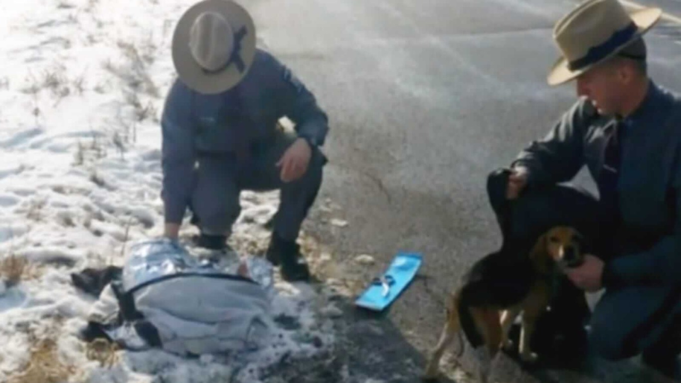 Policiais resgatam cachorros