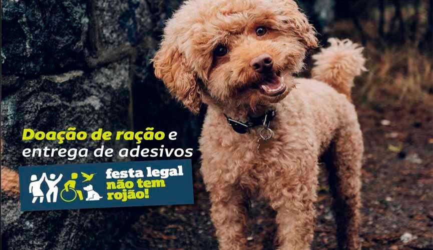arte de divulgação da distribuição de adesivos, com um cachorro poodle olhando para a câmera e com texto escrito no lado esquerdo: " Doação de ração e entregue de adesivos", em cima do logotipo da campanha festa legal não tem rojão