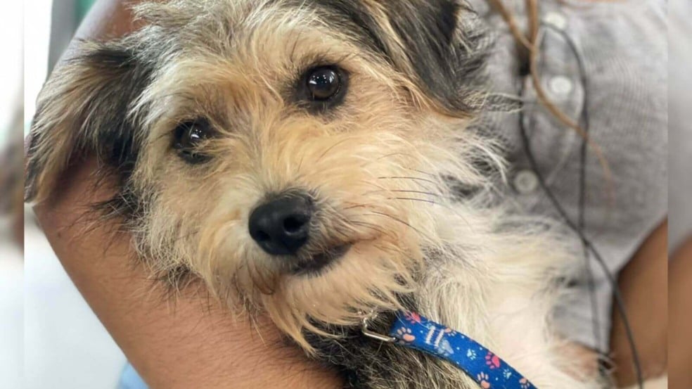 Foto: Prefeitura de Campo Limpo Paulista