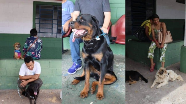 Foto: Prefeitura de Campo Limpo Paulista