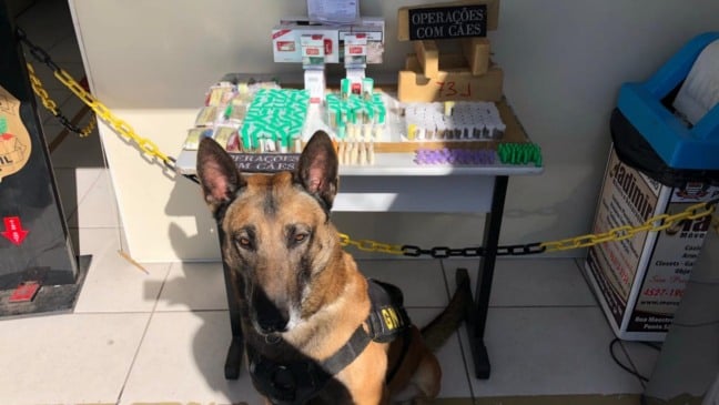 Cão em frente a mesa com drogas