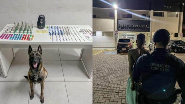 Foto: Guarda Municipal de Jundiaí