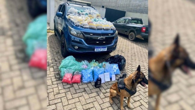 Canil da GM de Jundiaí apreende mais de 10 mil porções de drogas no Jardim São Camilo