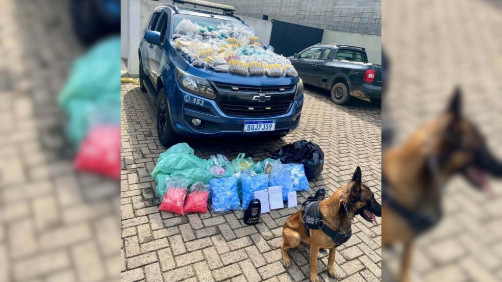 Canil da GM de Jundiaí apreende mais de 10 mil porções de drogas no Jardim São Camilo Canil da GM de Jundiaí apreende mais de 10 mil porções de drogas no Jardim São Camilo