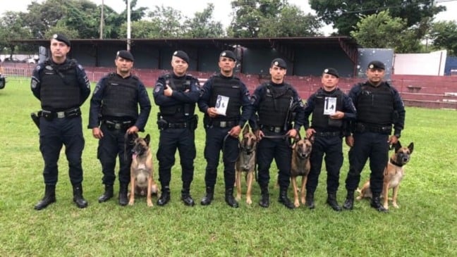 Canil da Guarda Municipal de Jundiaí é destaque em competição de cães policiais