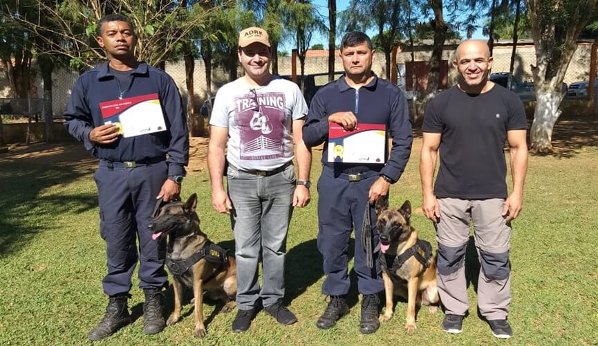 Cães certificados