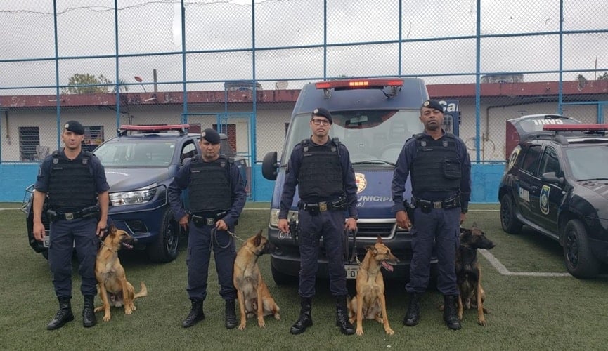 Canil da GMJ sobe ao pódio em competição regional-min