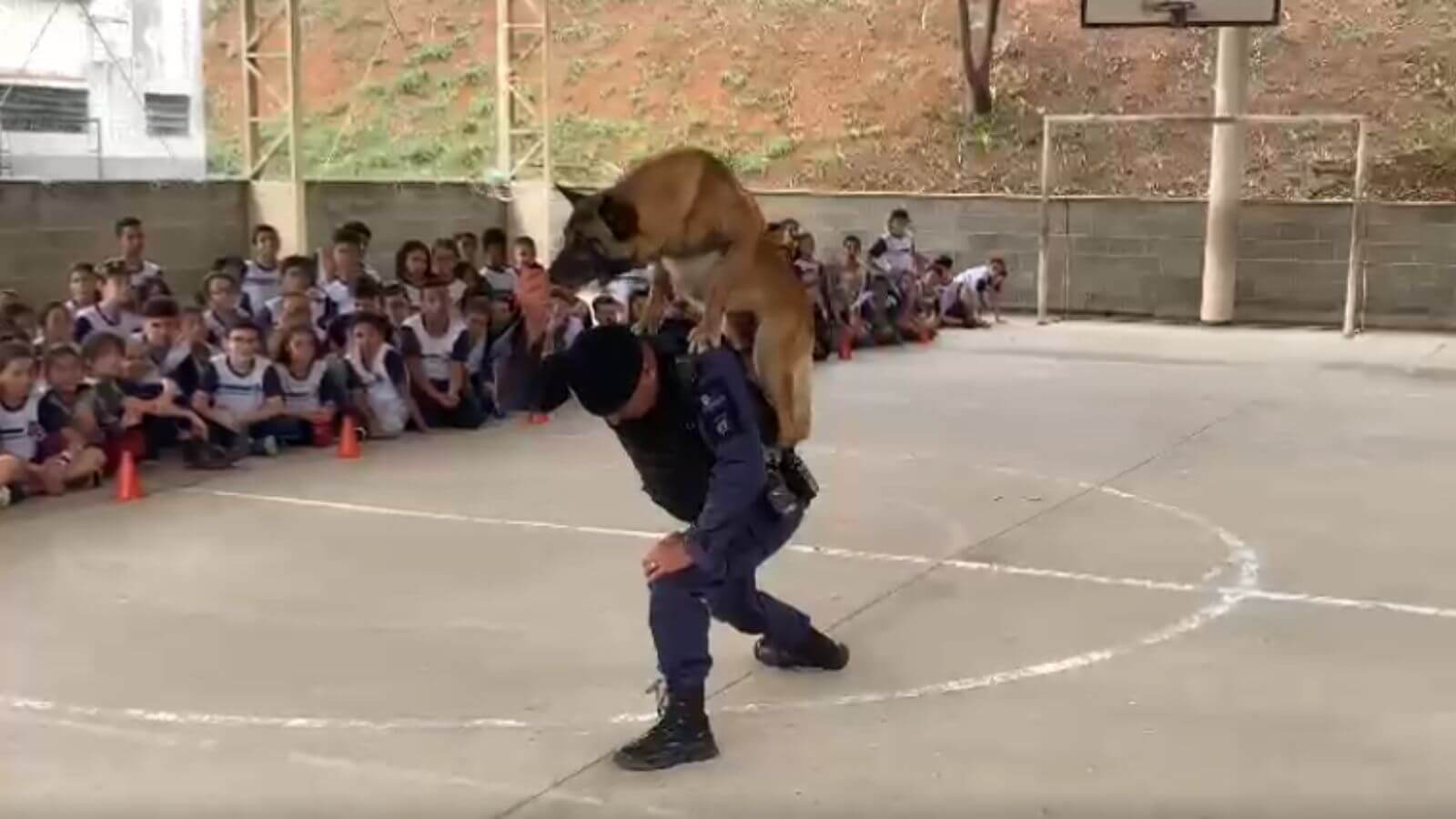 Canil da Guarda Municipal de Jundiaí leva diversão para crianças de EMEB
