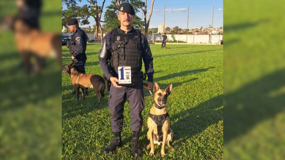 Foto: Guarda Municipal de Jundiaí