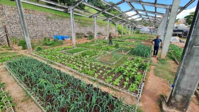 Canteiros da horta do Jardim do Lago. Foto: Prefeitura de Jundiaí