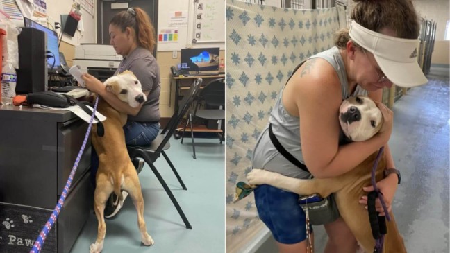 Foto: Madeline Garvis Smith