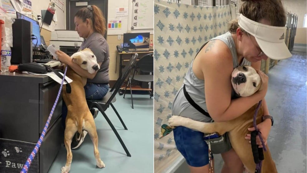 Foto: Madeline Garvis Smith