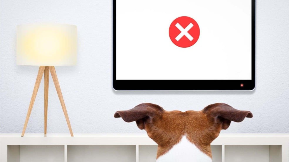 (Foto: Damedeeso/Canva)