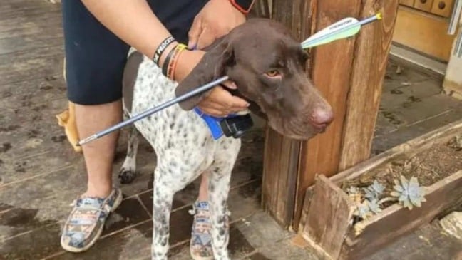 (Foto: Reprodução/Facebook) (Foto: Reprodução/Facebook)