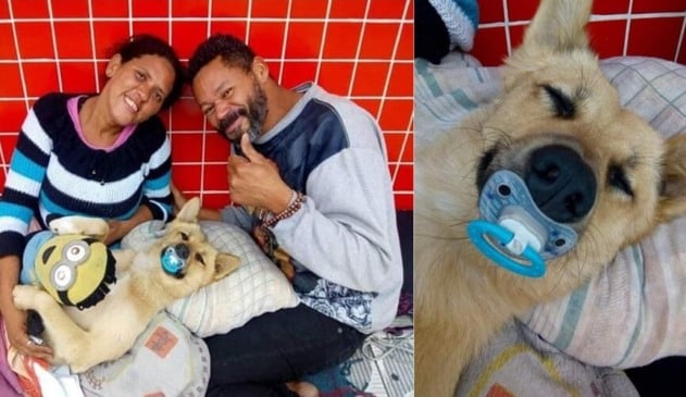 Cão de moradores de rua viraliza na web ao dormir com chupeta