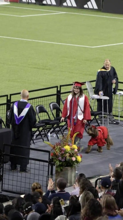 Cão de serviço em formatura do ensino médio