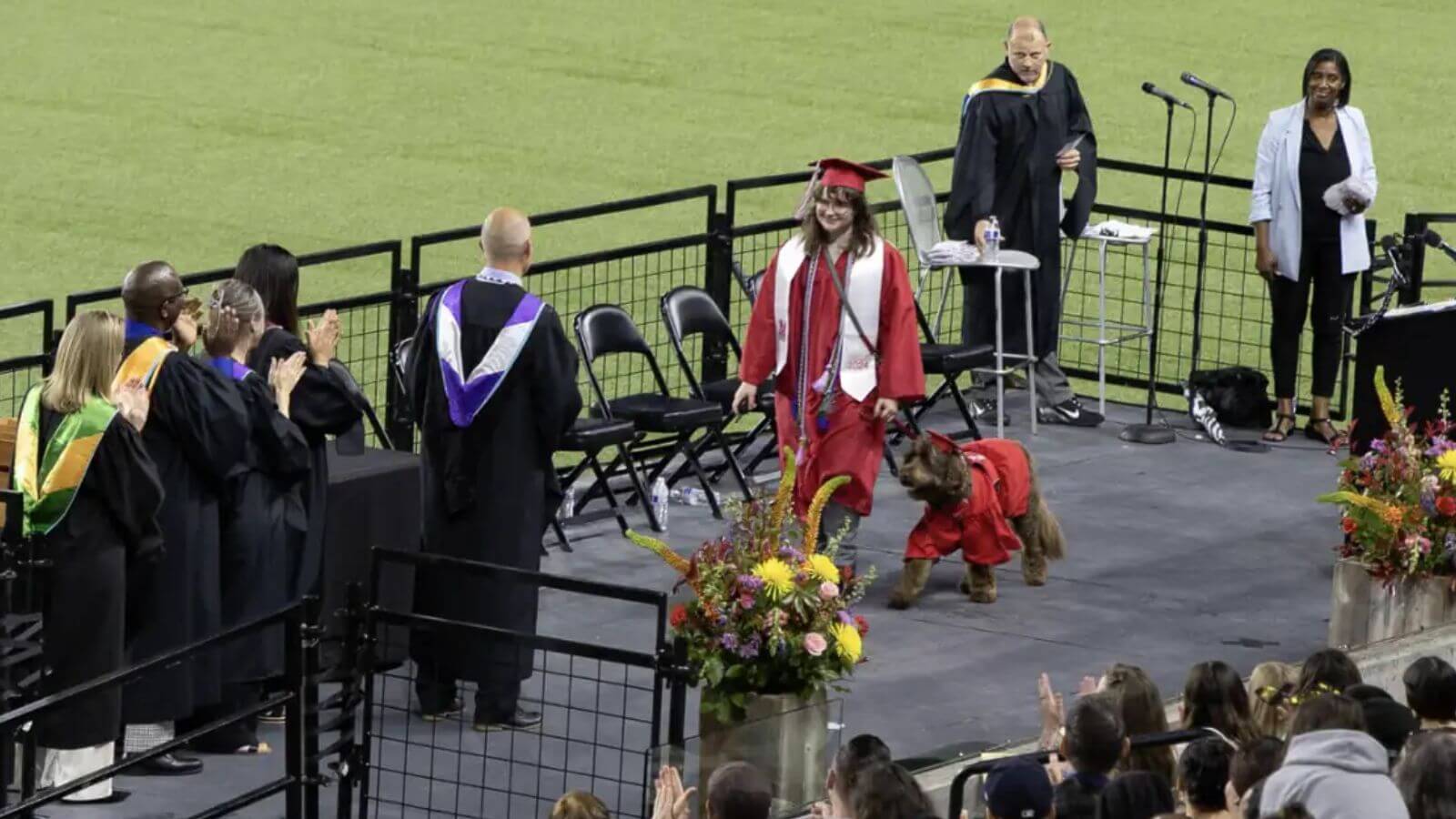 Cão de serviço em formatura do ensino médio