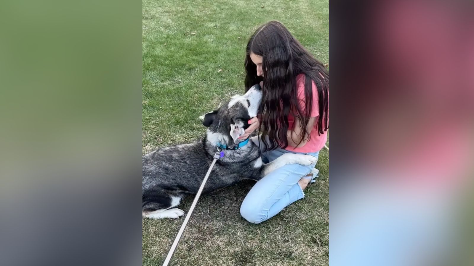 Bruno e sua nova tutora