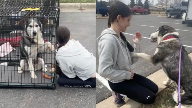 Bruno e sua nova tutora