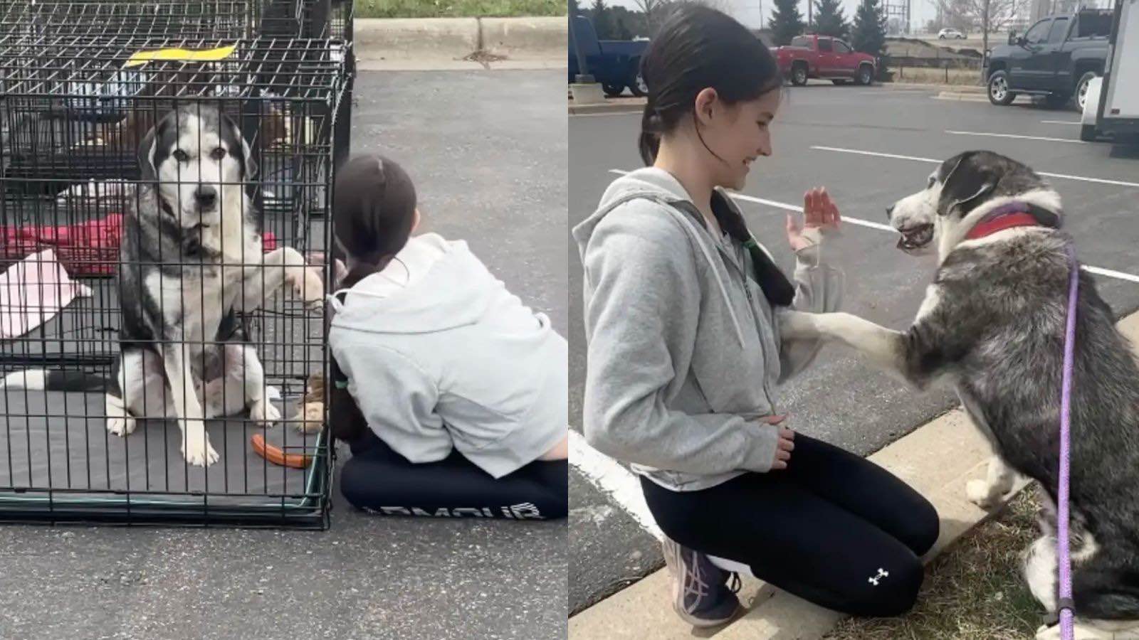 Bruno e sua nova tutora