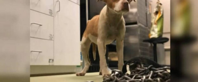 Foto: Reprodução Youtube