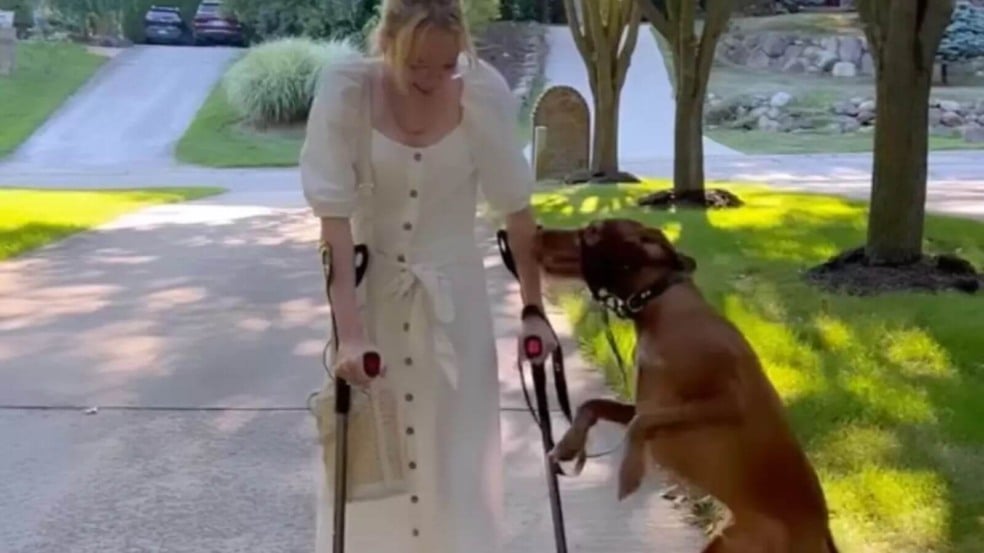 Cachorro se anima com tutora andando