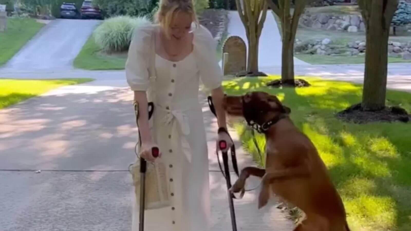 Cachorro se anima com tutora andando