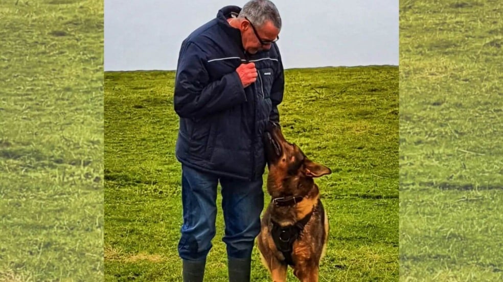 Cão policial aposentado sai para uma caminhada e acaba salvando pessoa desaparecida