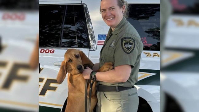 Foto: Hillsborough County Sheriff’s Office