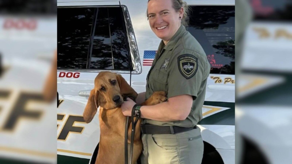 Foto: Hillsborough County Sheriff’s Office