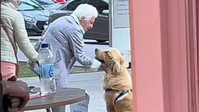 (Foto: Reprodução/TikTok)