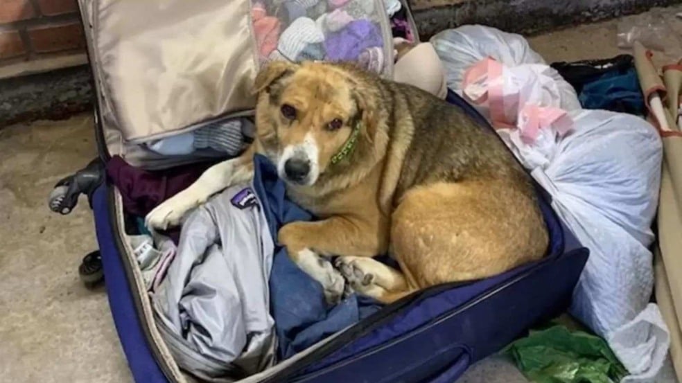 (foto: Reprodução/Facebook/Coutney Katsur)